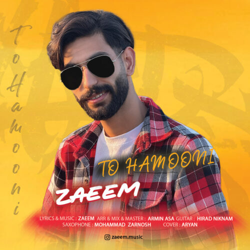 دانلود آهنگ زعیم تو همونی دانلود آهنگ زعیم تو همونی