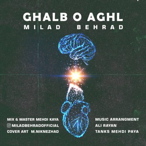 دانلود آهنگ میلاد بهراد قلب و عقل دانلود آهنگ میلاد بهراد قلب و عقل