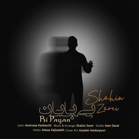 دانلود آهنگ شاهین زارعی بی پایان دانلود آهنگ شاهین زارعی بی پایان