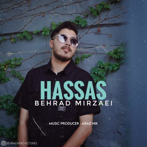 دانلود آهنگ بهراد میرزایی حساس دانلود آهنگ بهراد میرزایی حساس