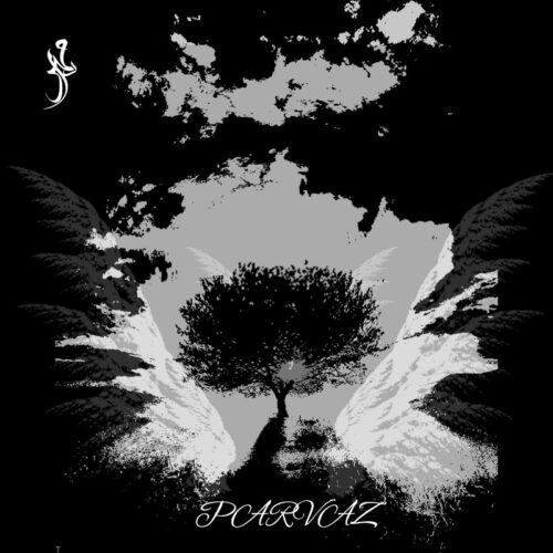 دانلود آهنگ مهرداد پرواز دانلود آهنگ مهرداد پرواز