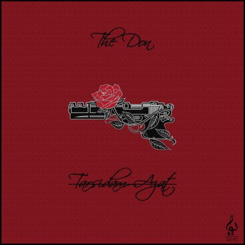 دانلود آهنگ د دان ترسیدم ازت دانلود آهنگ د دان ترسیدم ازت