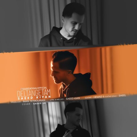 دانلود آهنگ سعید کیان دلتنگتم دانلود آهنگ سعید کیان دلتنگتم