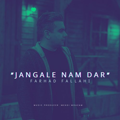 دانلود آهنگ فرهاد فلاحی جنگل نم دار دانلود آهنگ فرهاد فلاحی جنگل نم دار