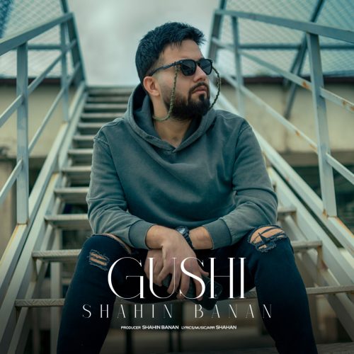 دانلود آهنگ شاهین بنان گوشی دانلود آهنگ شاهین بنان گوشی