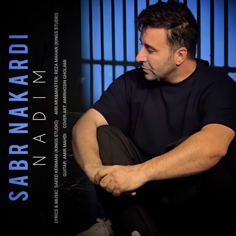 دانلود آهنگ ندیم صبر نکردی دانلود آهنگ ندیم صبر نکردی