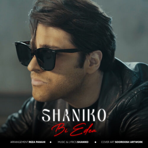 دانلود آهنگ شانیکو بی ادعا