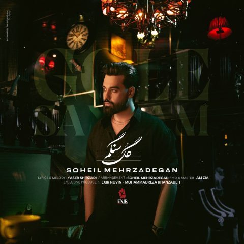 دانلود آهنگ سهیل مهرزادگان گل سنگم دانلود آهنگ سهیل مهرزادگان گل سنگم