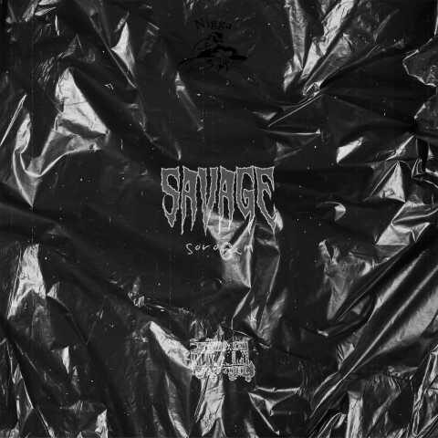 دانلود آهنگ سروشم وحشی دانلود آهنگ سروشم وحشی