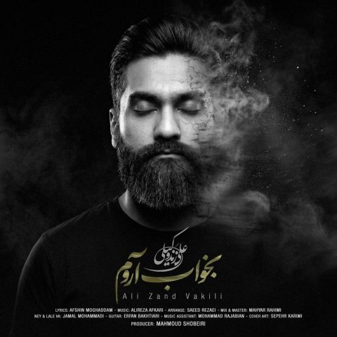 دانلود آهنگ علی زند وکیلی بخواب آروم دانلود آهنگ علی زند وکیلی بخواب آروم