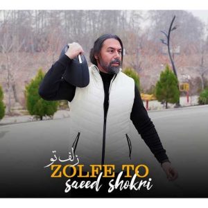 دانلود آهنگ سعید شکری زلف تو