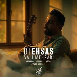 دانلود آهنگ ولی محرابی بی احساس