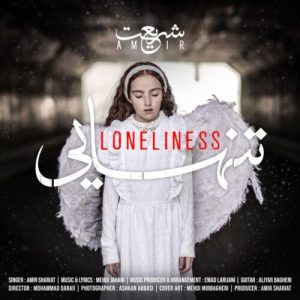 دانلود آهنگ امیر شریعت تنهایی