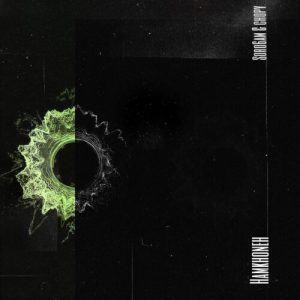 دانلود آهنگ سروشم و چاپی همخونه