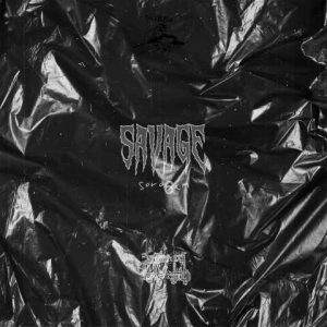 دانلود آهنگ سروشم وحشی