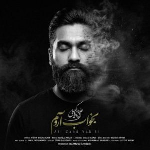 دانلود آهنگ علی زند وکیلی بخواب آروم